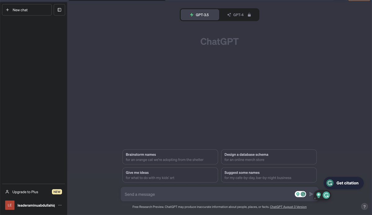 ChatGPT web interface.